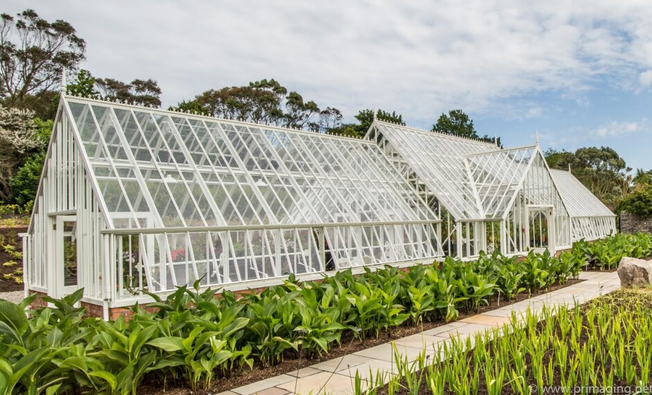 large-bespoke-alitex-greenhouse-at-logan-botanic-gardnes