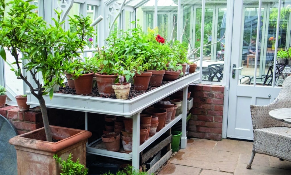 Traditional Greenhouse Benching | Alitex