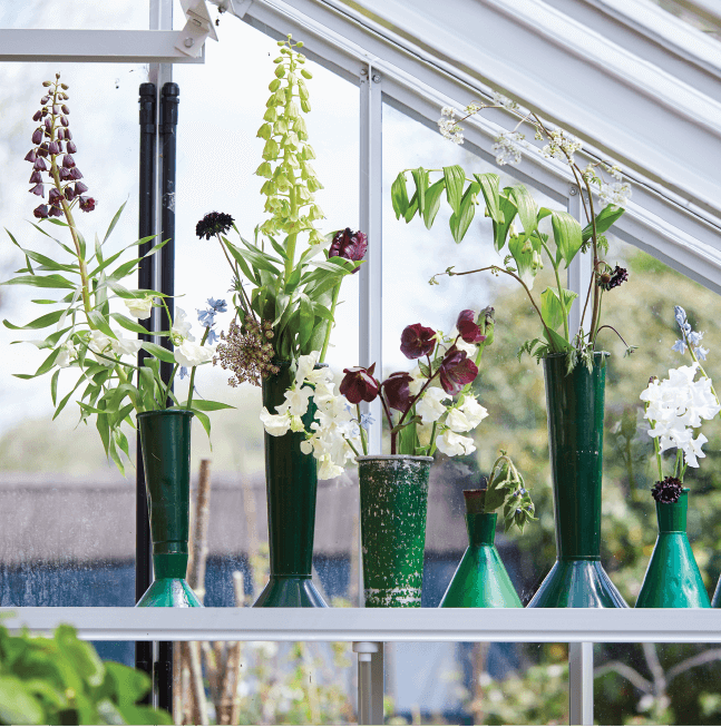 Cut flowers in vases in alitex greenhouse