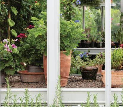 Pots in alitex greenhouse