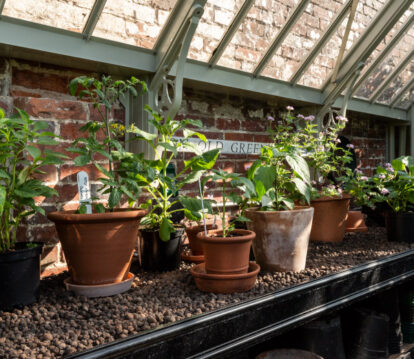 bespoke lean to greenhouse