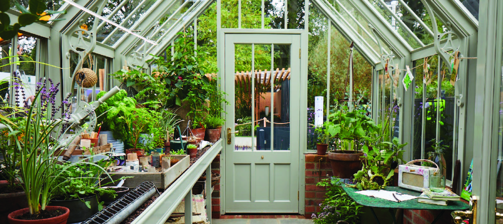 Inside view of an Alitex Scotney greenhouse from their National Trust collection, filled with plants placed on the benching.