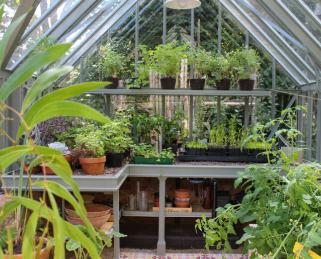 Tatton greenhouse internal layout