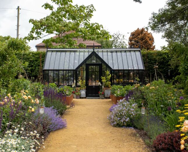 dark alitex greenhouse with colourful planting