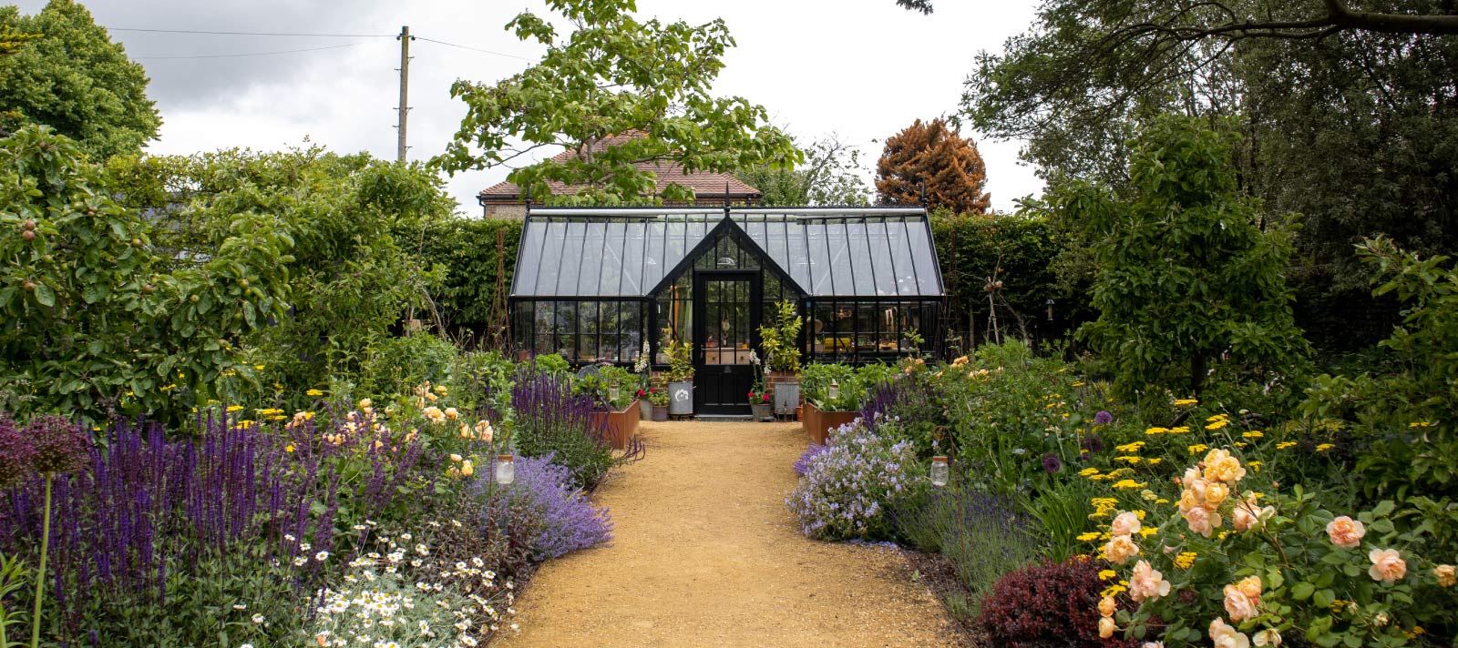 dark alitex greenhouse with colourful planting