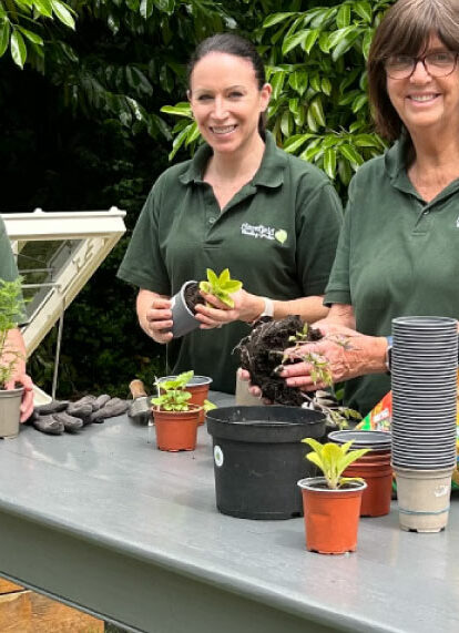 Harefield freestading cold frames