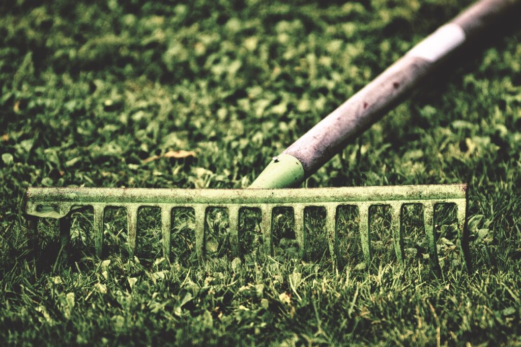 What Garden Tools do I need? A Rake lying on the grass