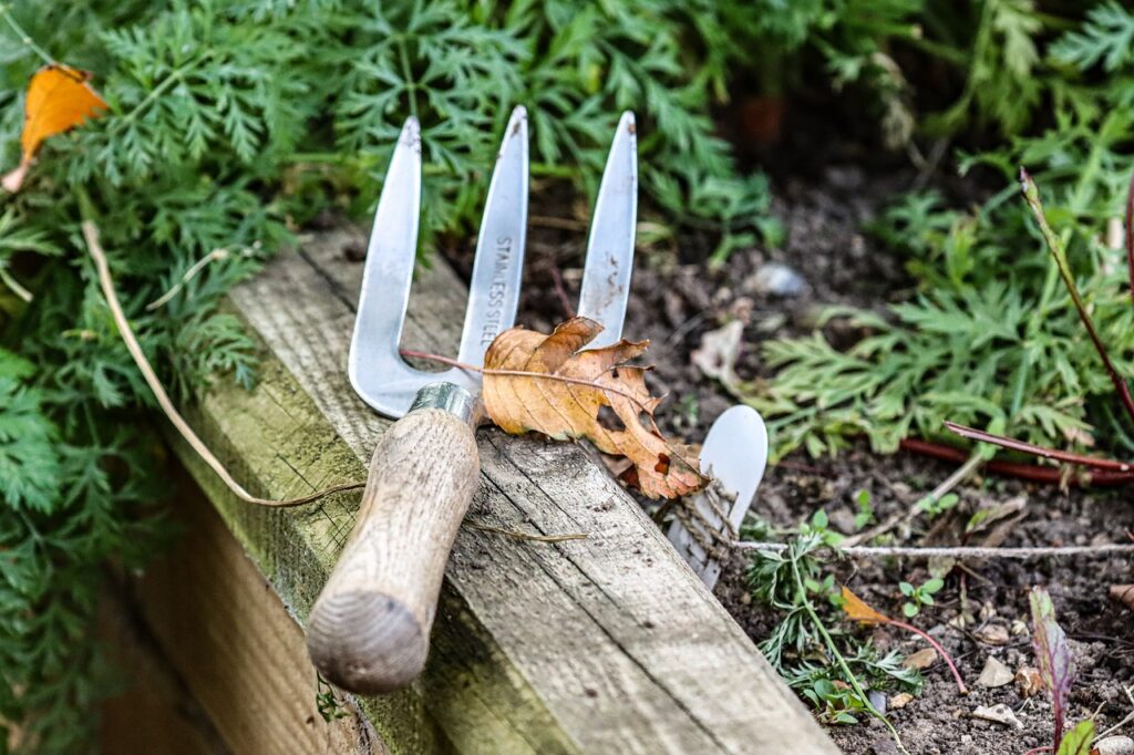 What garden tool do I need? A hand fork resting on a plank