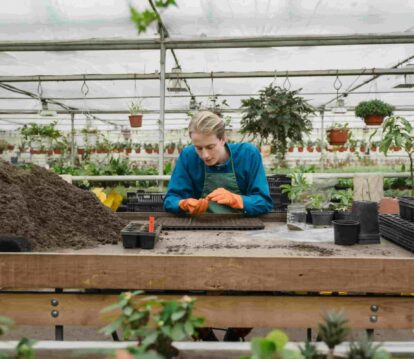 Sustainable Gardening: Gardener leaning on bench playing with soil