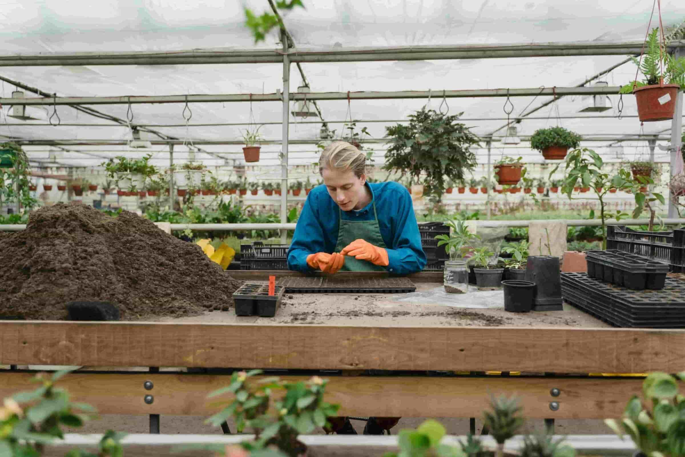 Sustainable Gardening: Gardener leaning on bench playing with soil