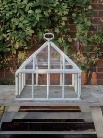 claverton cloche in alitex greenhouse